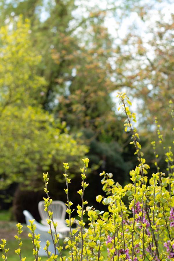 Bed & Breakfast Neeltje Soet Mierlo Esterno foto
